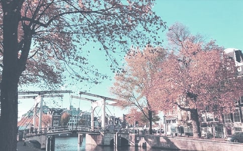 小班秋季学期工作计划10篇