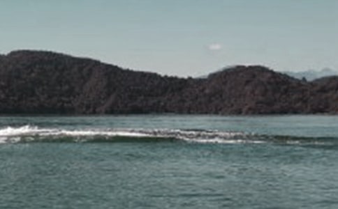 部编版日月潭教学反思8篇