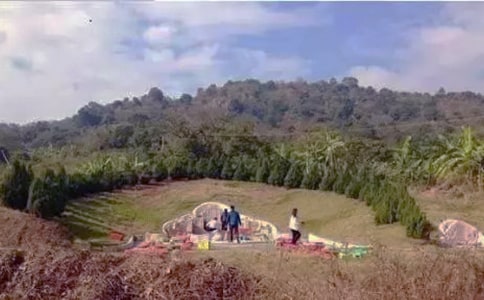 烈士陵园扫墓活动总结