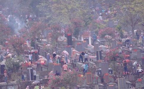 小学生扫墓活动总结