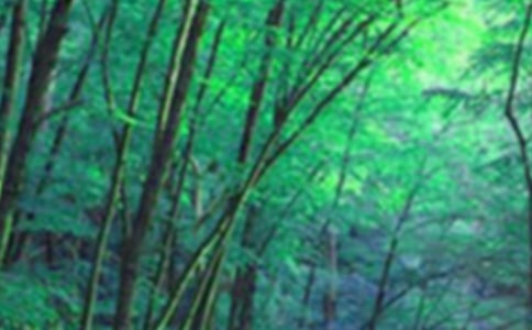 森林防火工作总结精选15篇