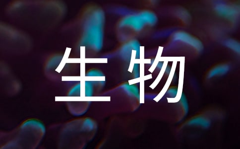 生物教学工作总结范文