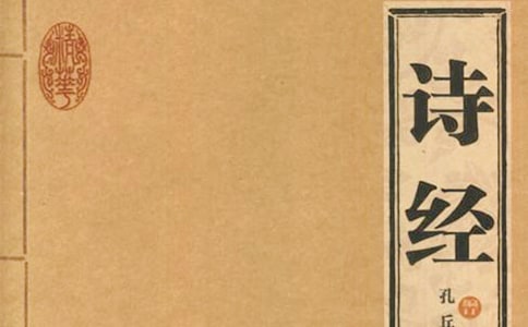 伍绮诗经典语录