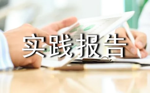 高中社会实践报告