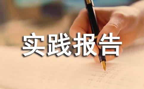 汉语言文学实践报告范文