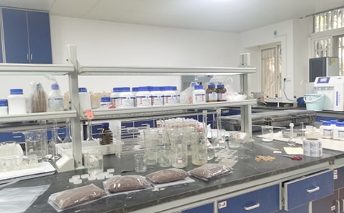 【精选】实验室工作计划三篇