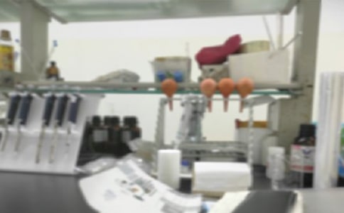 实验室年终工作总结10篇