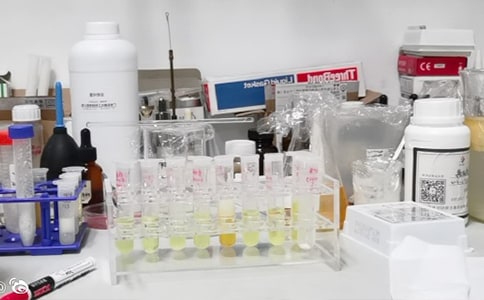 生物实验室工作计划