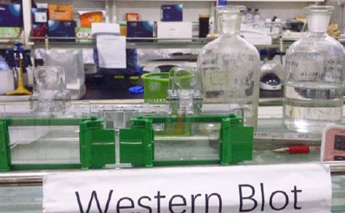 科学实验室工作总结