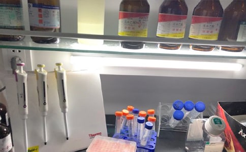 重点实验室工作总结