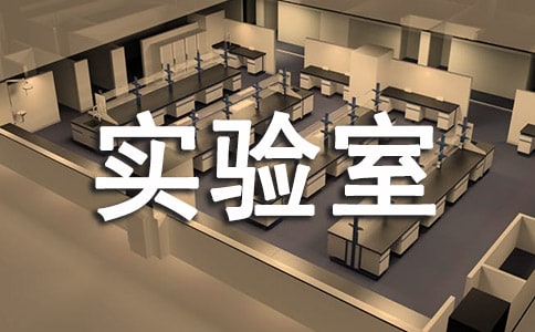 实验室年终工作总结【热】