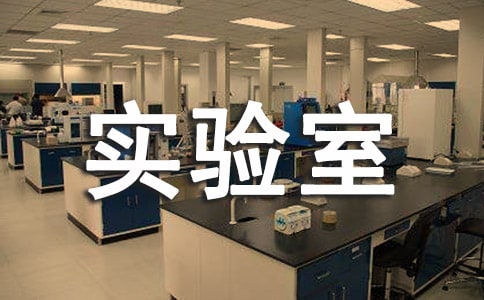 物理实验室工作总结范文