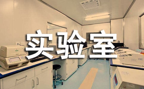 实验室年终工作总结14篇