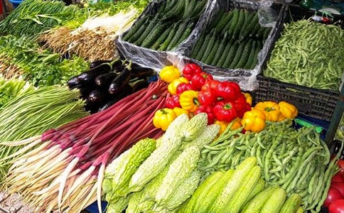 蔬菜种植基地合作协议