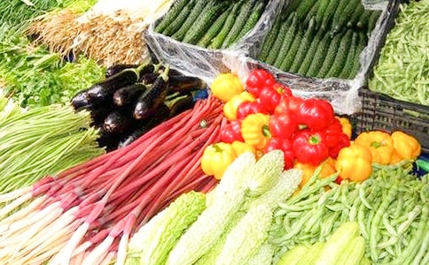 蔬菜收购合同(13篇)