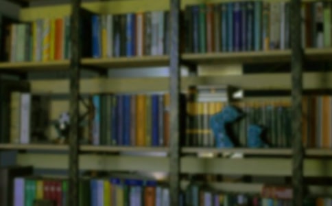 抵押借款合同书房屋