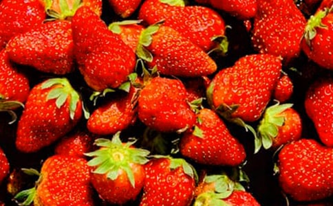 水果收购合同14篇