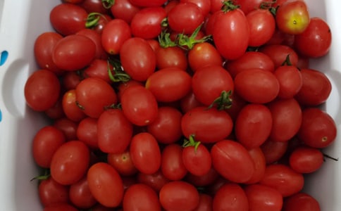 水果购销合同书