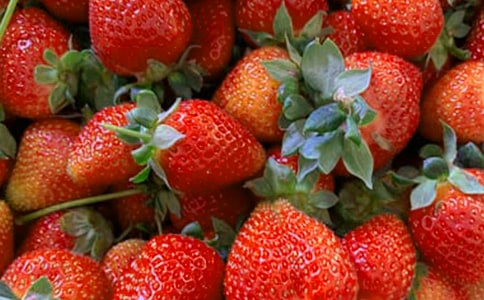 好吃的水果教学反思13篇