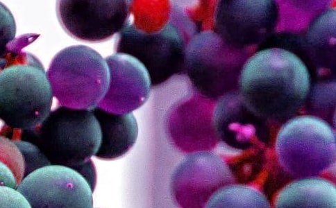 (实用)水果供货合同