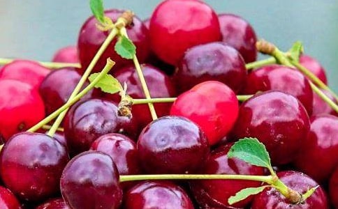 《我喜欢的水果》教学反思范文