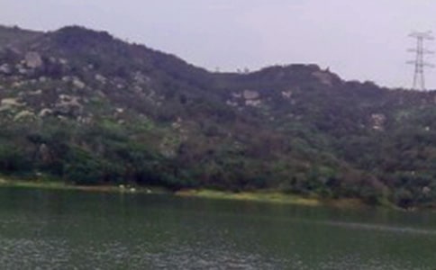 水库管理年度总结