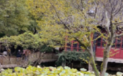 苏州园林教学反思通用