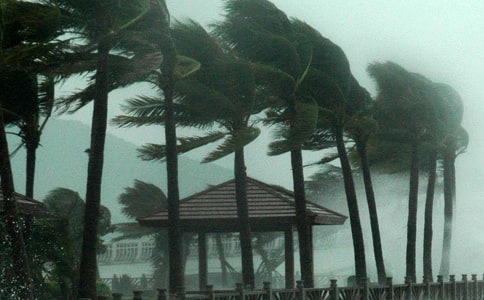 防台风工作方案