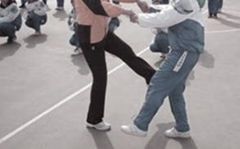 高中体育教学总结