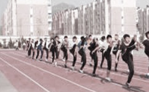 高三体育教学总结