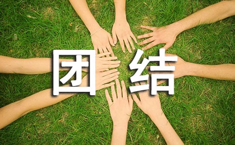 民族团结进步创建工作总结