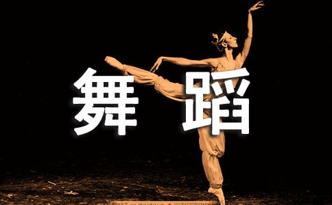 舞蹈社活动总结(15篇)