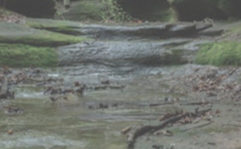 小溪流的歌教学反思