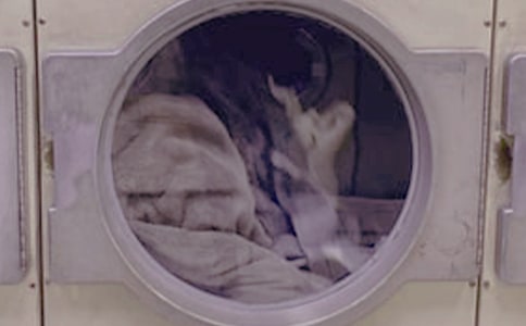 洗衣房领班工作总结