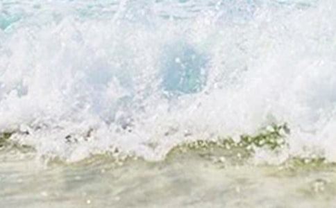 《夏天里的成长》教学反思