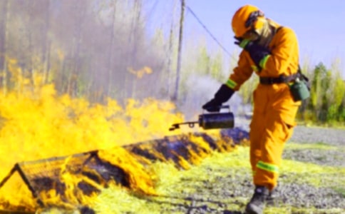 11月消防安全月活动总结(通用14篇)