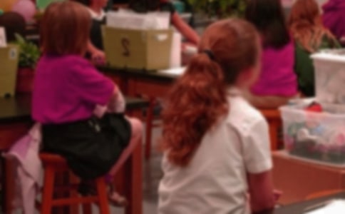 小学生主题班会活动总结