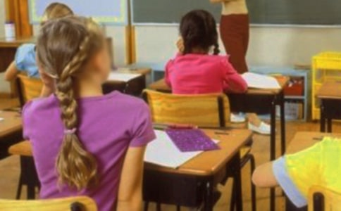 小学生社会实践活动总结