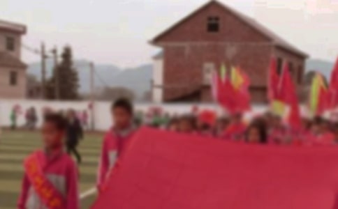 小学运动会活动总结