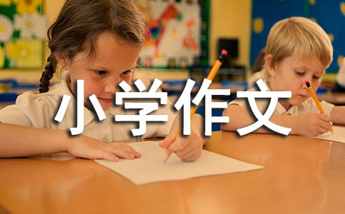 自我介绍小学作文