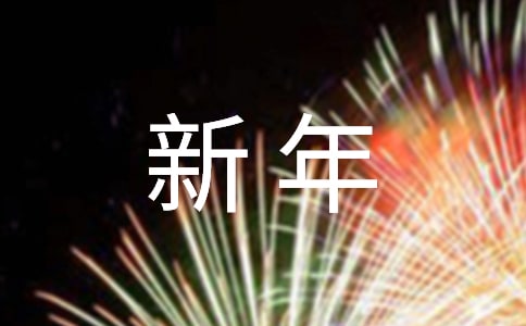 迎新年活动总结(15篇)