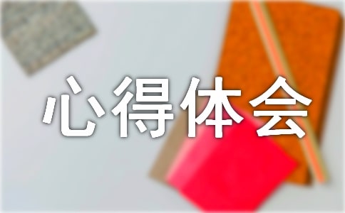 社会实践活动个人心得体会