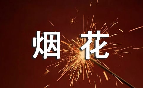禁燃禁放烟花爆竹工作总结
