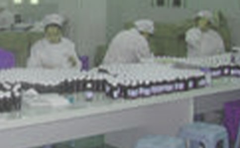 制药厂工作总结