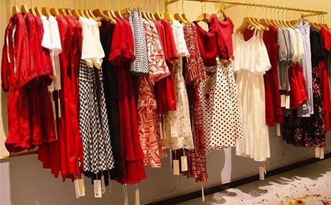 大班主题《动物绝对不应该穿衣服》优秀教案及教学反思