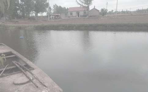 承包鱼塘合同集锦15篇