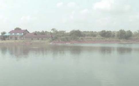 鱼塘承包合同集锦15篇