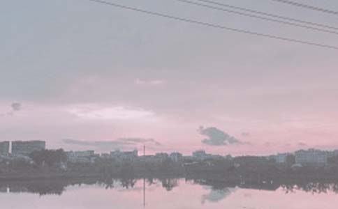 鱼塘承包养殖水产合同书