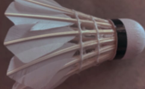 羽毛球比赛活动总结(15篇)