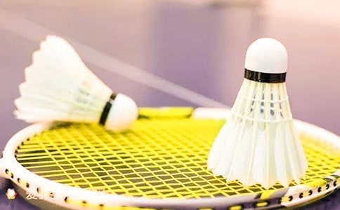 羽毛球比赛活动总结精选15篇